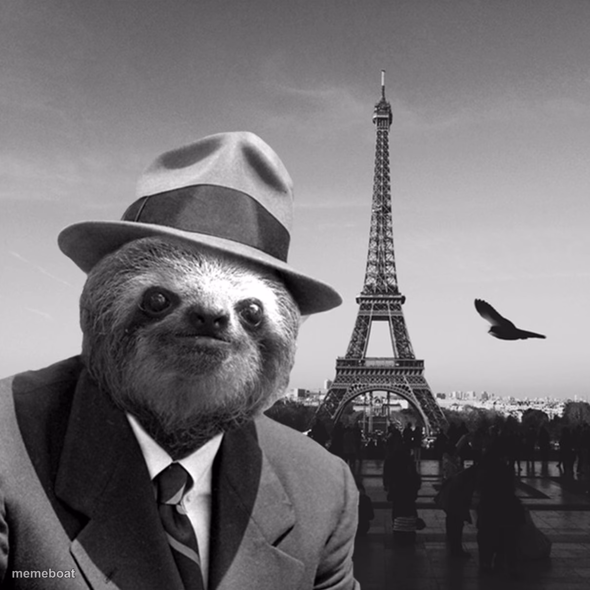 Sloth gentleman - meme generator image preview