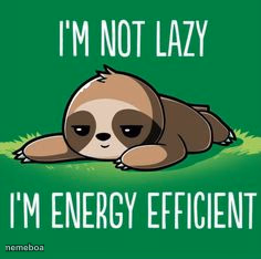 Sloth I’m not lazy I’m energy efficient - meme generator image preview