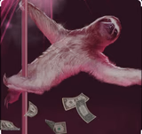 SLOTH KAM 5