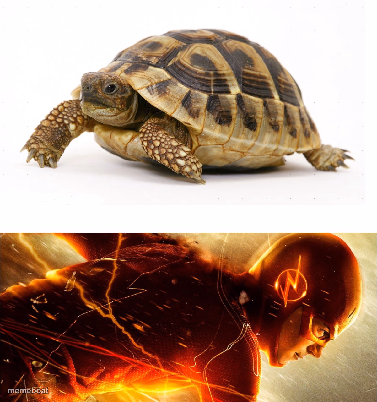 Slow vs Fast Meme - meme generator image preview