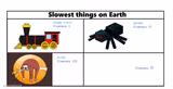 Slowest things on Earth