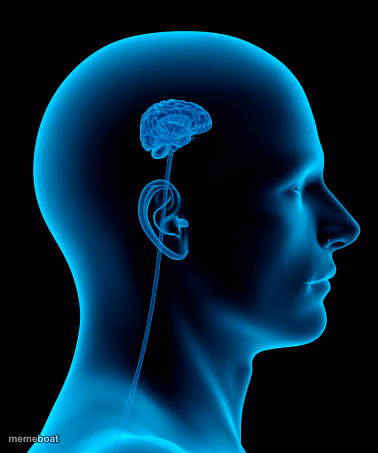 small brain - meme generator image preview