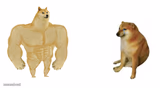 small doge big doge