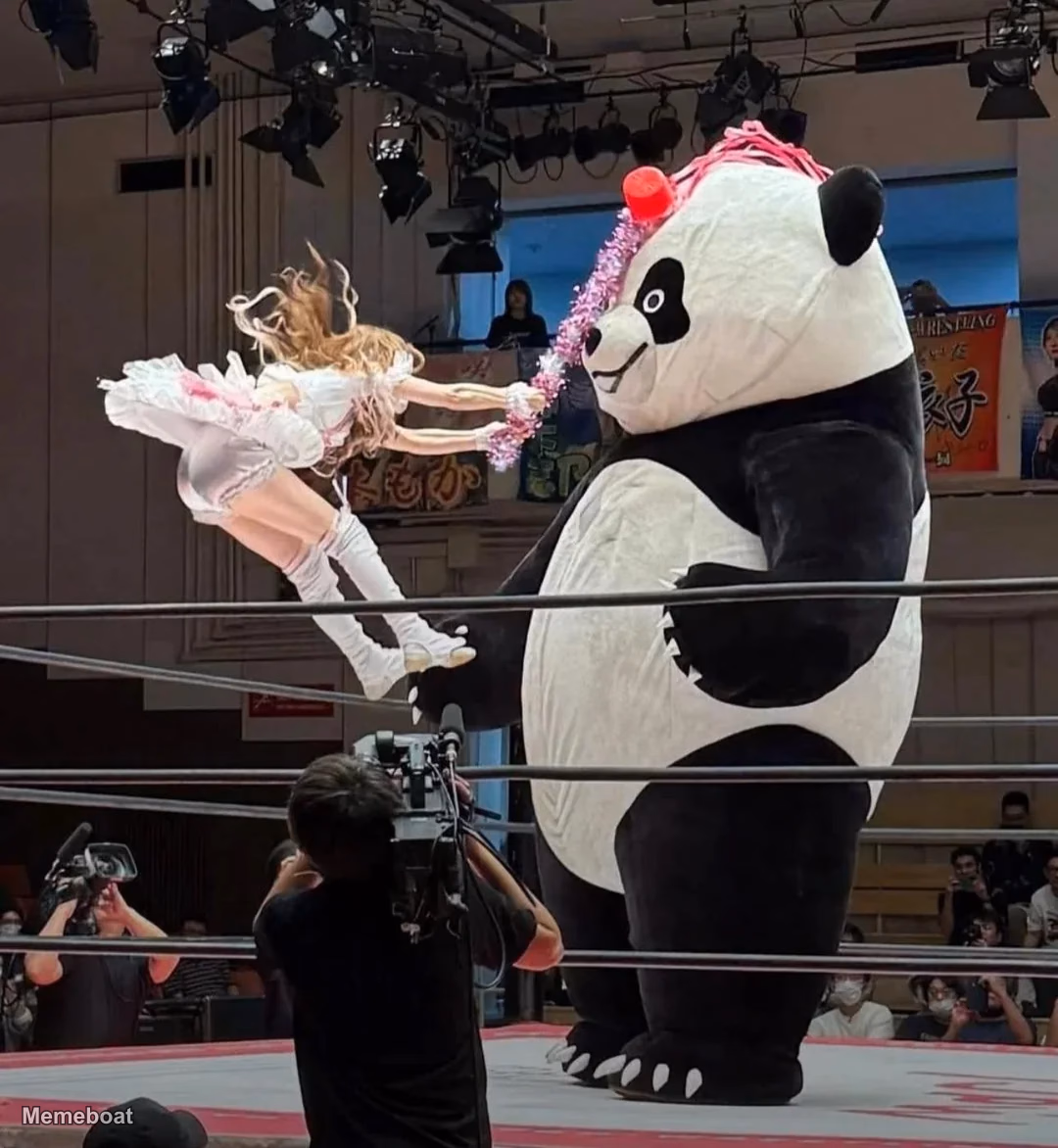 Small Lady Smacks a Giant Panda in the Face - meme generator image preview