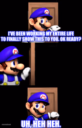 Smg4 door