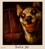 Smile Dog