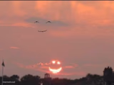 Smiling sun and birds