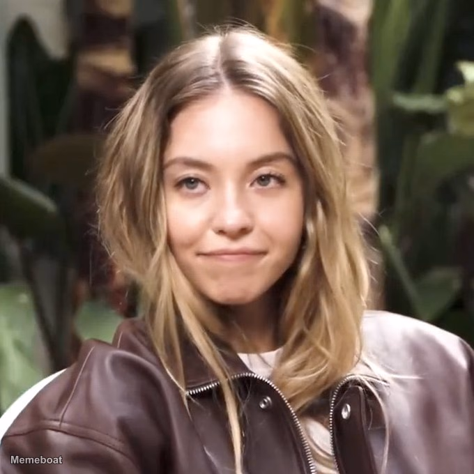 Smirking Sydney Sweeney - meme generator image preview