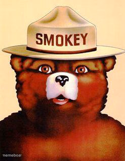 Smokey The Bear - meme generator image preview