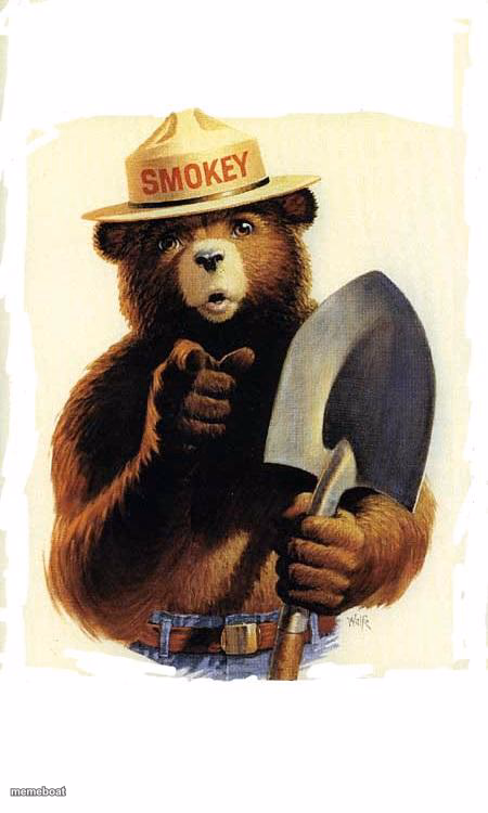 Smokey The Bear - meme generator image preview