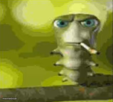 smoking caterpillar