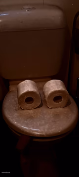 Smoking toilet