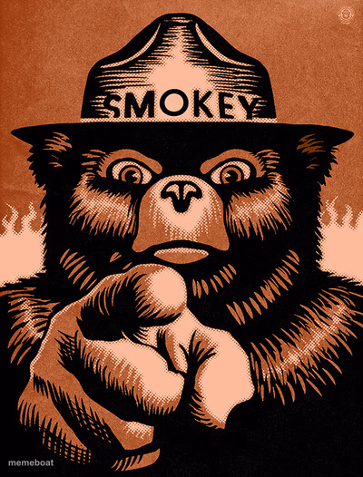Smoky the Bear - meme generator image preview