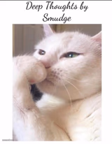 Smudge