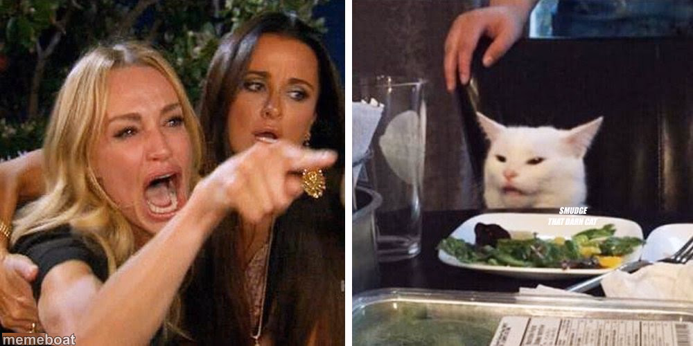 Smudge that darn cat with Karen - meme generator image preview