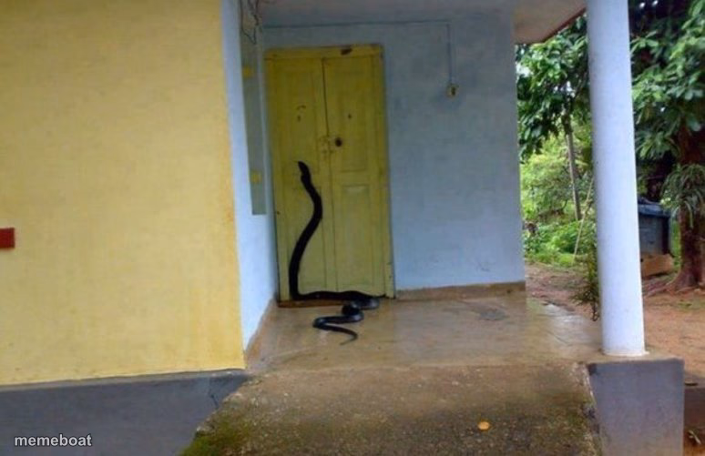 Snake Door - meme generator image preview