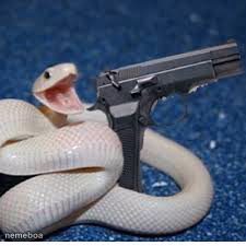 snake got gun - meme generator image preview