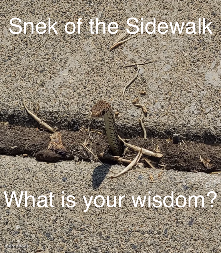 Snek of the Sidewalk - meme generator image preview