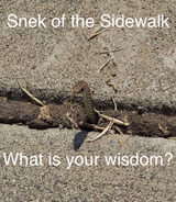 Snek of the Sidewalk