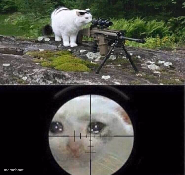 Sniper cat - meme generator image preview