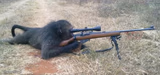 Sniper Monkey