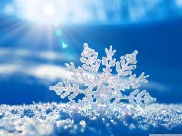 snowflake - meme generator image preview