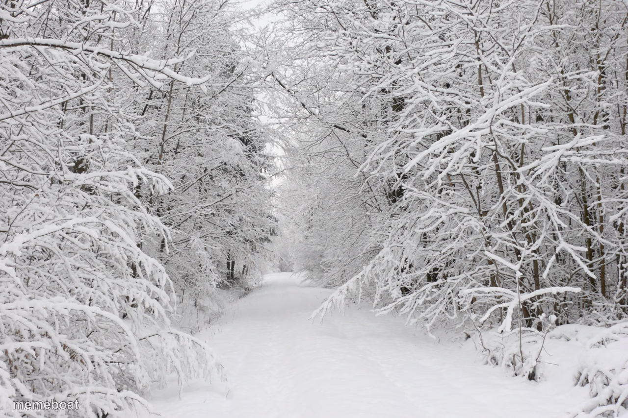 Snowy forest - meme generator image preview