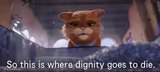 So this is where dignity goes to die