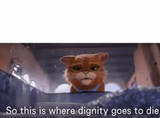 So this is where dignity goes to die