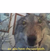 so you have chosen death