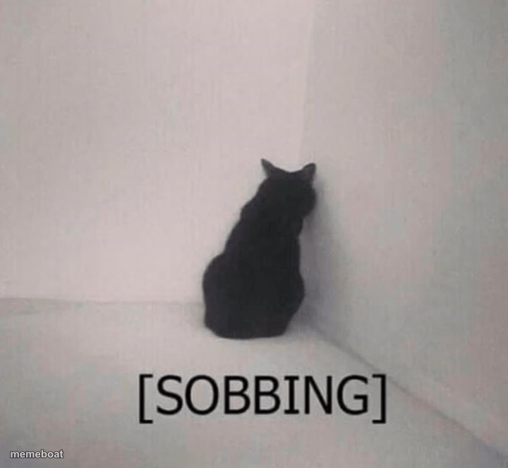 Sobbing cat - meme generator image preview