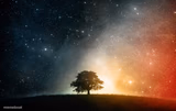 Solitary tree
