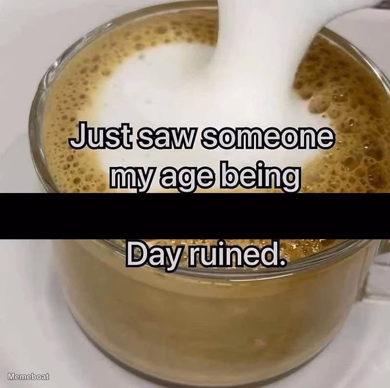 Someone My Age Being X / Day Ruined - meme generator image preview