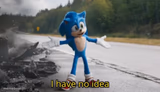 Sonic I have no idea