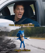 Sonic I have no idea