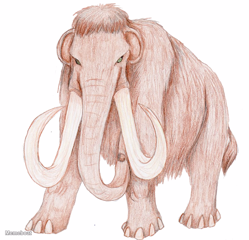 Woolly Mammoth Sketch - meme generator image preview