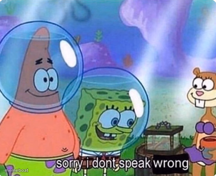 Sorry I don't speak wrong - meme generator image preview