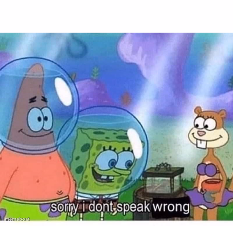 sorry i dont speak wrong - meme generator image preview