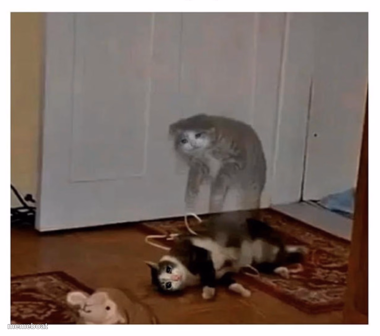 soul leaving cat's body - meme generator image preview