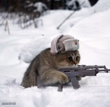 soviet kitty