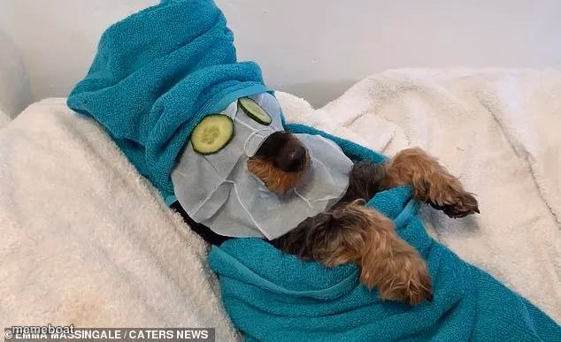 Spa Day - meme generator image preview