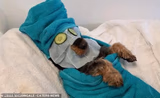 Spa Day