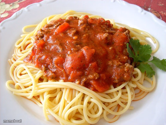 Spaghetti - meme generator image preview