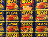 SPAM
