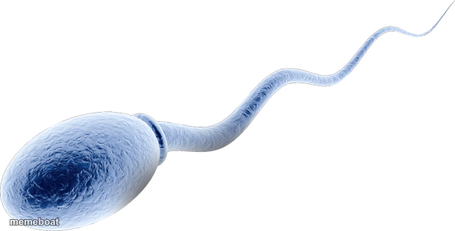 sperm cell - meme generator image preview