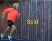 spid