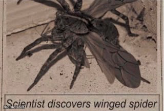 Spider - meme generator image preview