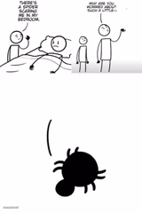 Spider in my bedroom