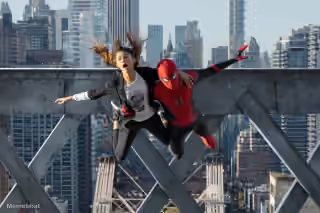Spider-man Saving MJ