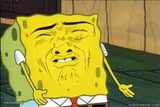 Sponge bob